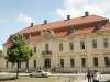 DSC07187