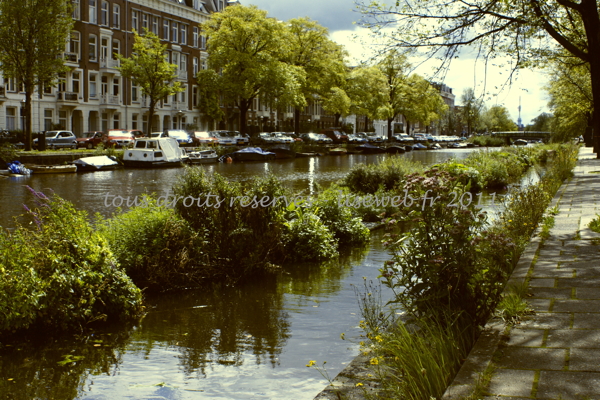 DSC08193_1