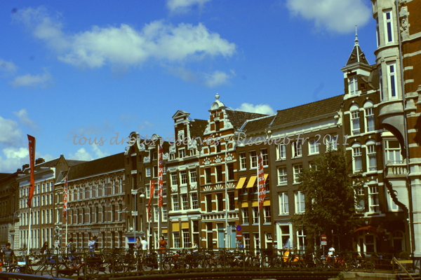 DSC08195_1