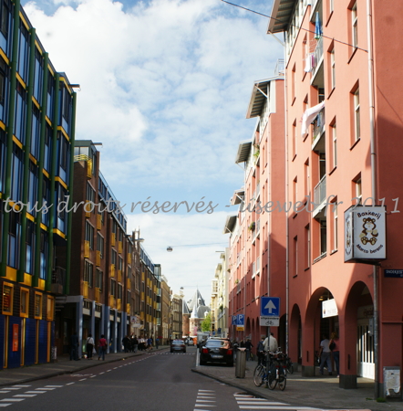 DSC08213_1