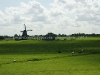 DSC08284_1