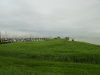 DSC08406