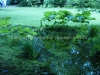 DSC08557