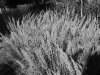DSC08603