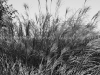 DSC08605