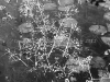 DSC08627