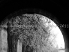DSC08740