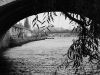 DSC08749
