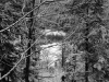 DSC09772