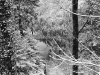DSC09773