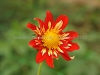 DSC09923_1