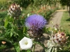 DSC00180