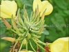 DSC00491_hdr