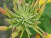 DSC00493_hdr