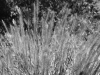 DSC00496