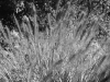 DSC00501