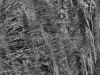 DSC00512