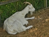 DSC00564_hdr