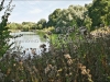 DSC00600_hdr