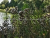 DSC00606_hdr