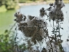 DSC00615_hdr