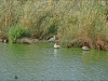DSC00650_hdr