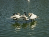 DSC00662_1