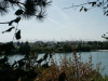DSC00630