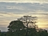DSC00703_HDR2
