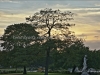 DSC00718_HDR1
