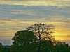 DSC00703_HDR