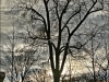 DSC01167_a