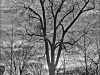 DSC01167_b
