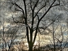 DSC01170_a