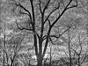 DSC01170_b