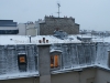 DSC01229_1