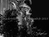 DSC01250_2