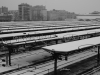 DSC01299