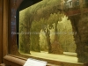 DSC00039_1