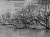 DSC00155