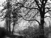 DSC00186
