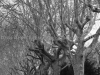 DSC00187