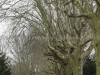 DSC00193