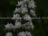 DSC00289
