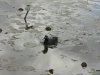 DSC00315