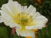 DSC00340