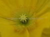 DSC00399