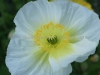 DSC00410