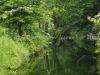 DSC00503