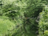 DSC00506